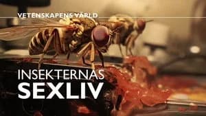 Vetenskapens värld 49. Sezon 25. Bölüm