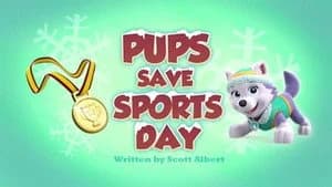 PAW Patrol 3. Sezon 26. Bölüm