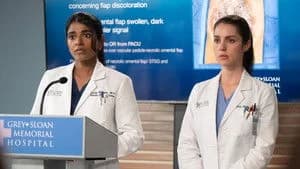 Grey's Anatomy 22. Sezon 13. Bölüm