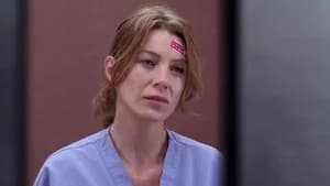 Grey's Anatomy 2. Sezon 8. Bölüm