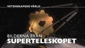 Vetenskapens värld 48. Sezon 24. Bölüm