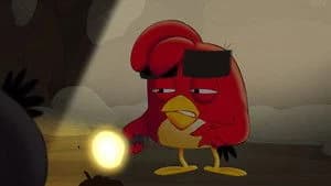 Angry Birds: Summer Madness 1. Sezon 11. Bölüm