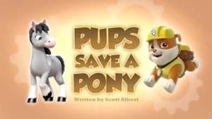 PAW Patrol 3. Sezon 24. Bölüm