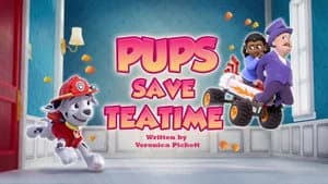 PAW Patrol 13. Sezon 4. Bölüm