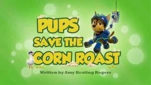 PAW Patrol 2. Sezon 20. Bölüm