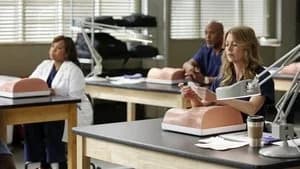 Grey's Anatomy 9. Sezon 13. Bölüm