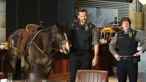 Animal Control 1. Sezon 12. Bölüm