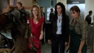 Rizzoli & Isles 3. Sezon 3. Bölüm