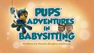PAW Patrol 2. Sezon 27. Bölüm