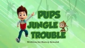 PAW Patrol 2. Sezon 15. Bölüm