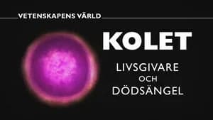 Vetenskapens värld 48. Sezon 25. Bölüm