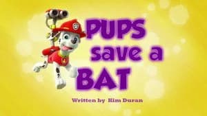 PAW Patrol 1. Sezon 37. Bölüm
