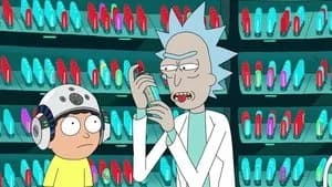 Rick and Morty 3. Sezon 8. Bölüm