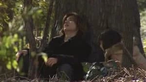 仮面ライダー 13. Sezon 5. Bölüm