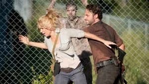 The Walking Dead 3. Sezon 11. Bölüm