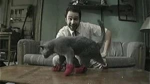 It's Always Sunny in Philadelphia 5. Sezon 8. Bölüm