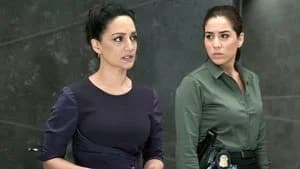 Blindspot 2. Sezon 9. Bölüm