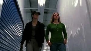 NCIS 2. Sezon 21. Bölüm