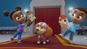 PAW Patrol 11. Sezon 19. Bölüm
