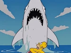 The Simpsons 14. Sezon 19. Bölüm