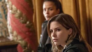Chicago P.D. 1. Sezon 13. Bölüm