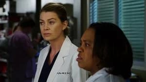 Grey's Anatomy 12. Sezon 18. Bölüm