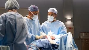Grey's Anatomy 22. Sezon 3. Bölüm