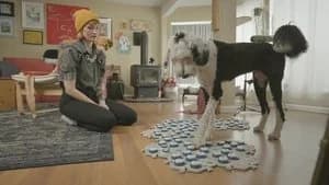 The Secret Life of Our Pets 1. Sezon 1. Bölüm