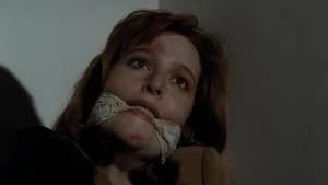 The X-Files 2. Sezon 13. Bölüm