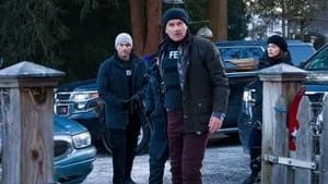 FBI: Most Wanted 3. Sezon 13. Bölüm