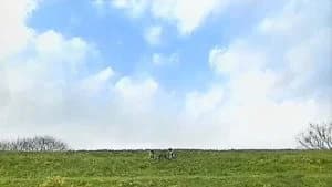仮面ライダー 13. Sezon 50. Bölüm