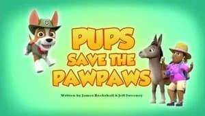 PAW Patrol 5. Sezon 21. Bölüm