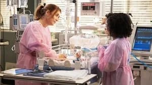 Grey's Anatomy 19. Sezon 12. Bölüm