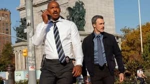Law & Order 24. Sezon 9. Bölüm