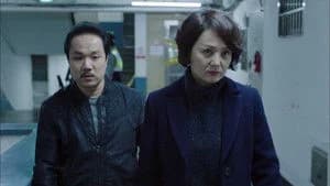 Live 1. Sezon 5. Bölüm