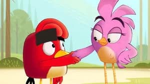 Angry Birds: Summer Madness 1. Sezon 13. Bölüm