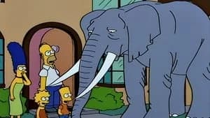 The Simpsons 5. Sezon 17. Bölüm