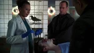 Law & Order: Special Victims Unit 8. Sezon 17. Bölüm
