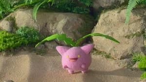 Pokémon Concierge 1. Sezon 3. Bölüm