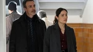 Law & Order 24. Sezon 19. Bölüm