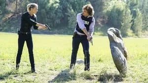 Criminal Minds 13. Sezon 6. Bölüm