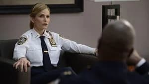 Brooklyn Nine-Nine 2. Sezon 22. Bölüm