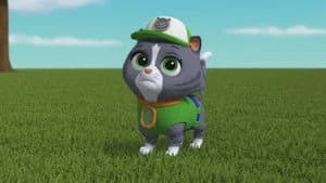 PAW Patrol 10. Sezon 44. Bölüm