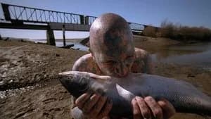 The X-Files 2. Sezon 20. Bölüm