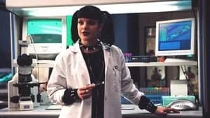 NCIS 1. Sezon 17. Bölüm