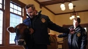 Animal Control 1. Sezon 5. Bölüm