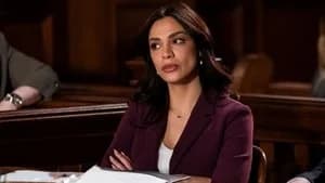 Law & Order 23. Sezon 13. Bölüm