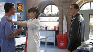 NCIS 12. Sezon 13. Bölüm