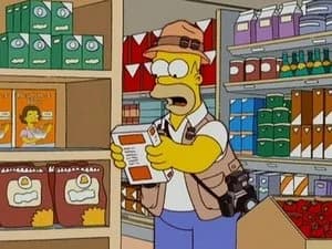 The Simpsons 18. Sezon 16. Bölüm