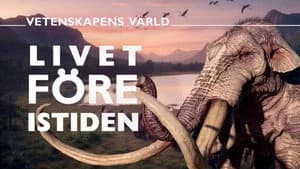 Vetenskapens värld 51. Sezon 29. Bölüm